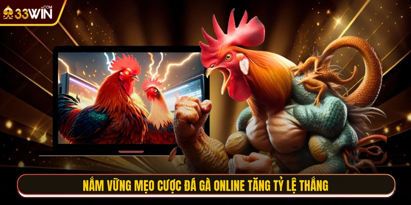 Nắm vững mẹo cược đá gà online tăng tỷ lệ thắng